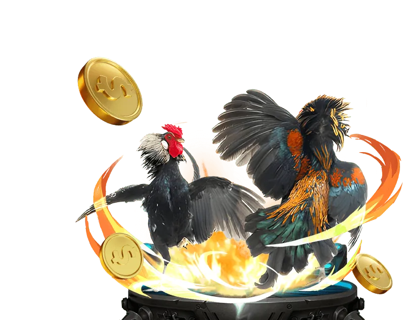 Hoàn trả đá gà hàng tuần CMM88